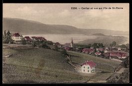 AK Erlach, Cerlier, Vue sur l`Ile de St-Pierre
